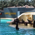 Seals Loro Parque2